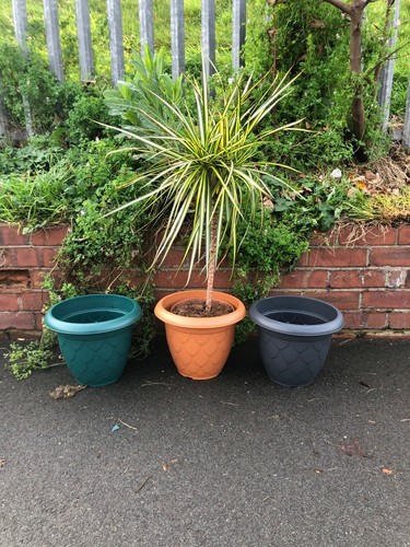 Plastic round planter 31cm - round,