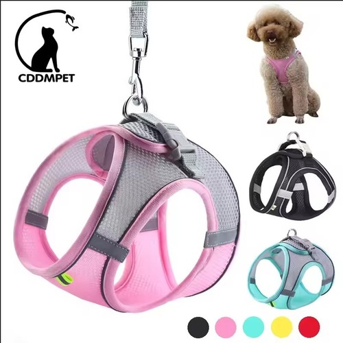 Pull dog pet - pull, harness