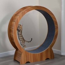 Cat Exercise Wheel Large Cat