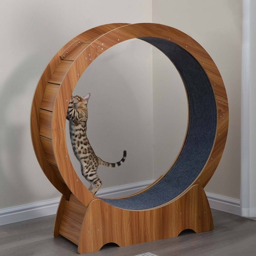 Cat exercise wheel - cat, large