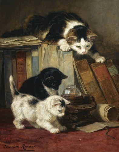 Henriette ronner knip - henriette,