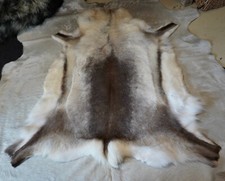 Reindeer Hide, Striking