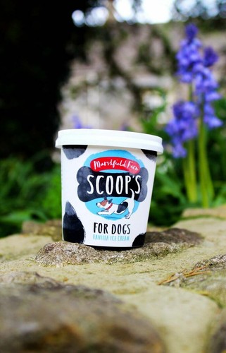 Scoops dog ice cream 125ml - ice, cream-6