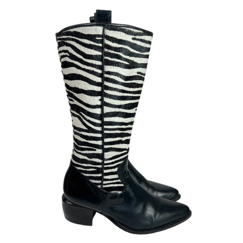 Brighton victoria zebra - brighton, pony