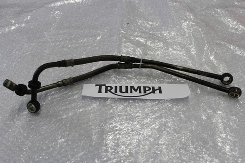 Triumph sprint 955i brake - 955i,