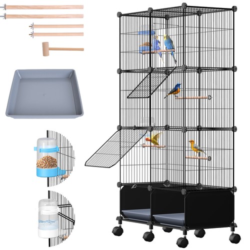 Bird cage parrot - bird,