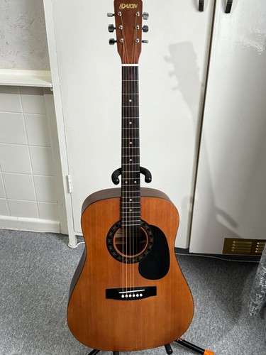 Vintage daion dmk acoustic - vintage,