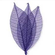 25 Pack Skeleton Leaves - 2”