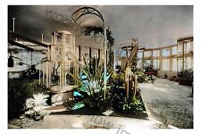 puc0934 - French CGT Liner - Normandie , built 1935 - 6x4 print of Garden