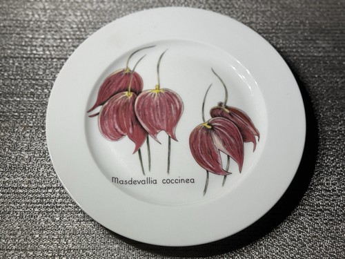 Bernardaud limoges masdevallia - limoges,