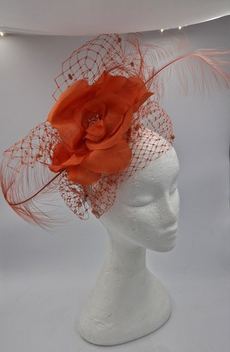 Nigel rayment fascinator - nigel,