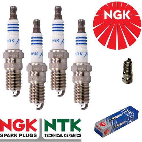 Ngk lpg spark plug stk - ngk, no