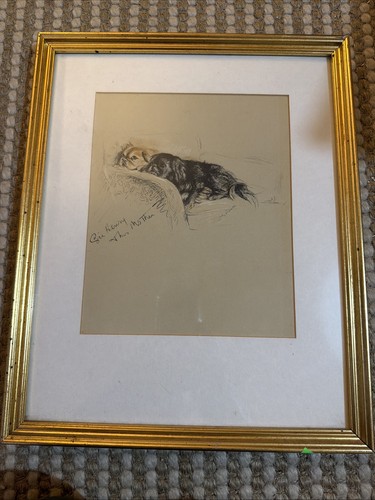Framed bookplate dogs lucy - bookplate,