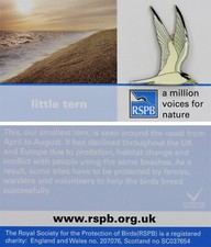 RSPB Pin Badge Special AMVfN Little Tern P00736