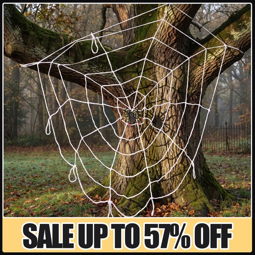 Halloween spider web net party - halloween,