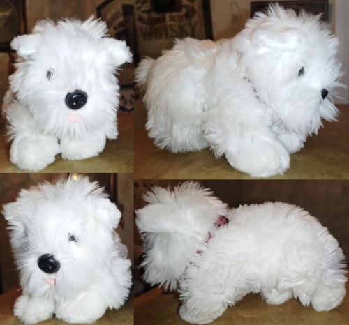 West highland terrier westie - west,