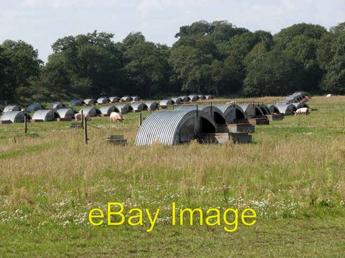Photo 6x4 pig arks west - 6x4,