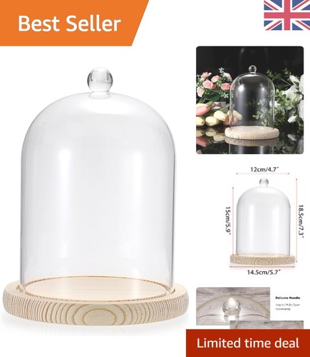 Clear glass display dome with - dome,