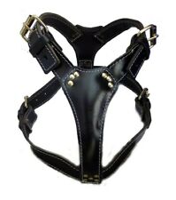 Beautiful Black Plain Leather