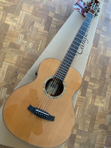 Tanglewood trs1e smart - trs1e,
