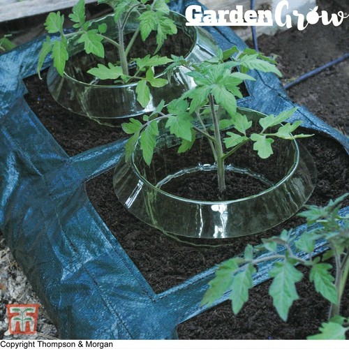 Garden grow slug snail collar - garden,