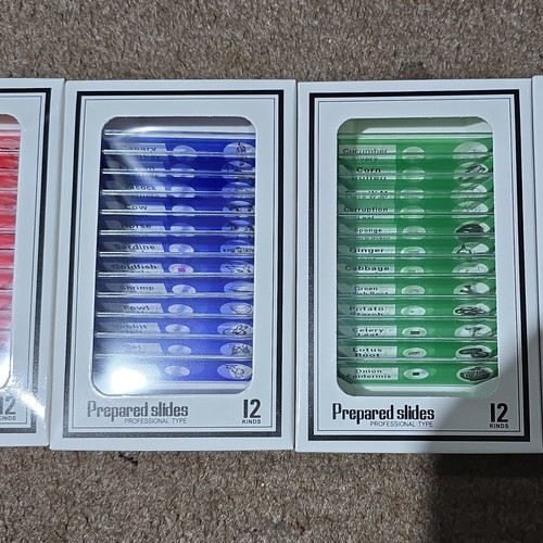 Prepared microscope slides set - slides,