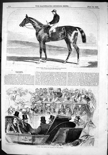 Old 1866 lord - 1866, horse