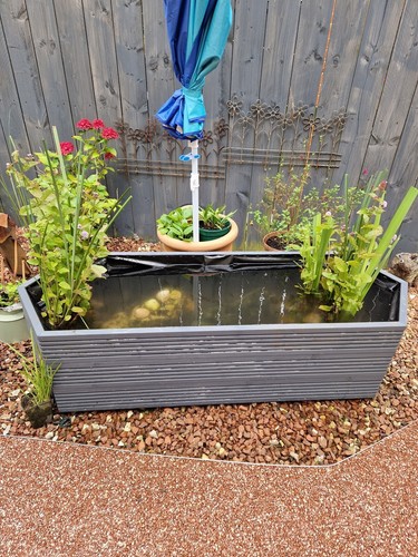 Raised garden pond - raised, handmade