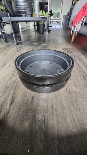 Flower pot bonsai bowl - pot/bonsai,