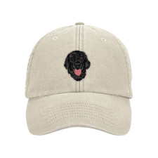 FLAT COATED RETRIEVER BASEBALL