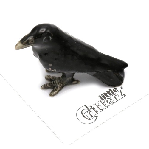 Little critterz black - -, raven
