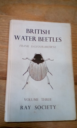 British water beetles - british, frank