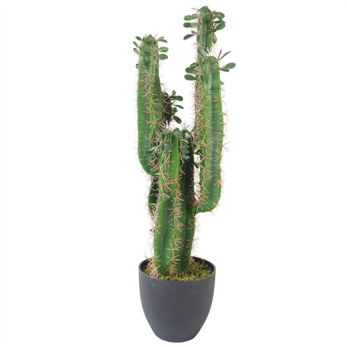 Artificial cacti cactus plant - cacti,
