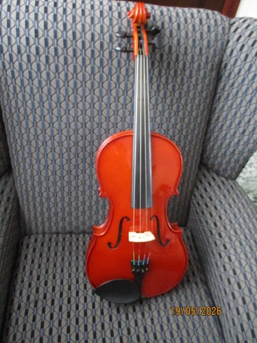 Stentor viola student - 2, model