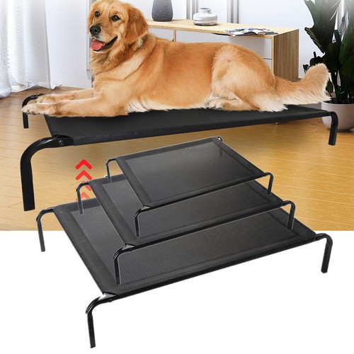 Pet raised bed elevated - raised,