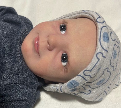 Aspen reborn realborn baby - aspen,
