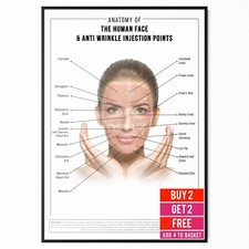 Anti Wrinkle Face Anatomy