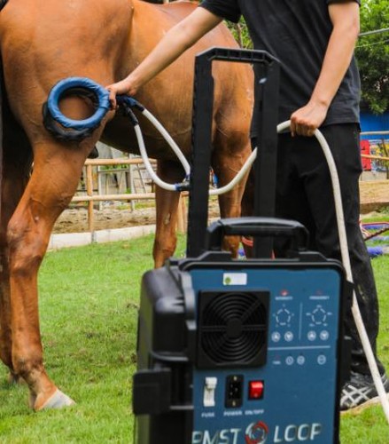 Pemf magnetic therapy machine - therapy,