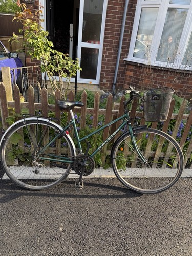 Raleigh pioneer vintage - pioneer,