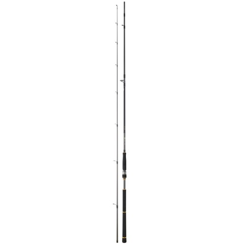 Daiwa seabass rod - daiwa, lure