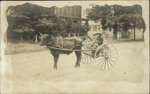 Rppc photo oxen cart - rppc,