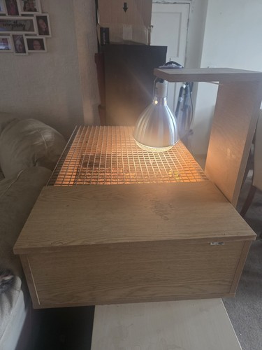 Large reptile enclosure with - reptile,