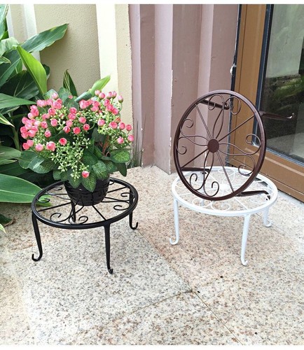 Cast iron plant - cast,