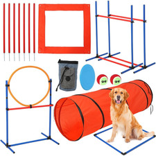Dog Agility Training Equipmen