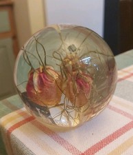  Hafod Grange Paperweight, Dried Flowers, 1991, Welsh Collectable