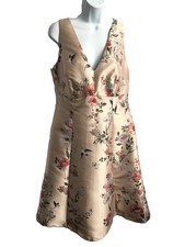 Debut Debenhams pale blush