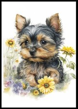 YORKSHIRE TERRIER CUTE PUPPY