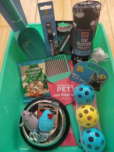 Kitten cat bundle green - bundle,