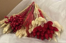POSY BOUQUET 70-80 STEMS DRIED FLOWERS PRETTY RED & WHITE/BLEACHED XMAS GIFT12''