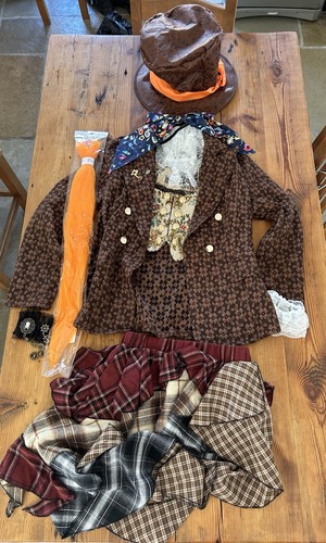 Mad hatter dressing up - hatter’s,